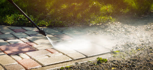 Best Warehouse Cleaning  in Leona Valley, CA